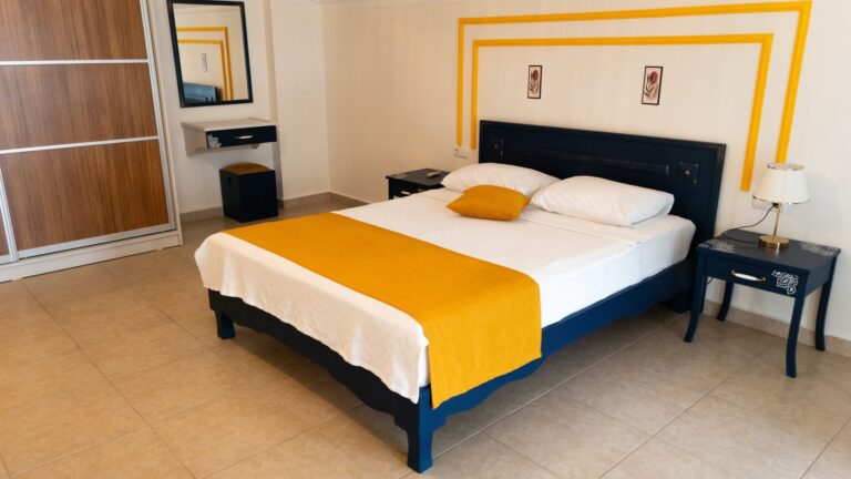 begonvilllllllllllll-oda (3)